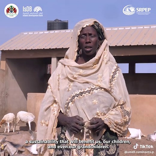 Empowering women. Strengthening livelihoods. Transforming communities. 🐐✨ Through the Small Ruminant Production Enhancement Project, one determined woman breeder has been supported with 70 goats for breeding purposes, turning opportunity into sustainable income and long-term growth. This support is more than livestock; it’s financial independence, improved household nutrition, and a stronger local economy. When women are empowered in agriculture, entire communities rise. 👉 Follow, share, and s