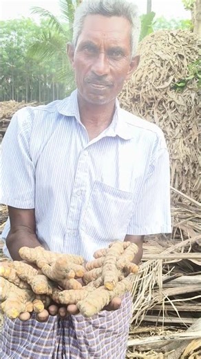 Netsurf Biofit Result Nallampatti Muthusamy Turmaric Field