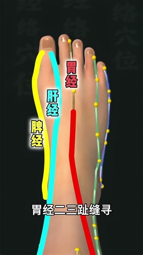 Foot Meridians: The Six Meridians of the Feet ||| Foot Meridians: The Six Meridians of the Feet #...