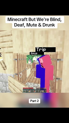 Minecraft Challenge: Blind, Deaf, Mute & Drunk Gameplay