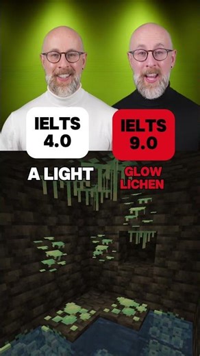 Do you know these MINECRAFT LIGHT sources?