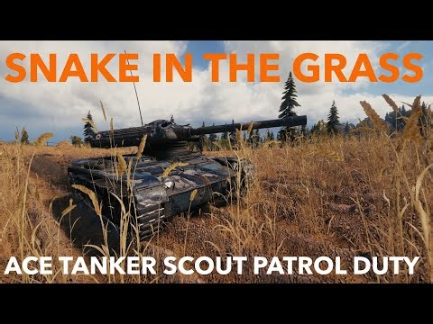 The ELC Even 90 has one of the best camo ratings and is hardly higher than the grass.