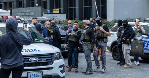 ICE Barbie’s Goons Unleashed on Streets of Manhattan