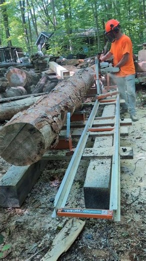 pine beam on Norwood Sawmills PM14