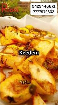 How Solar Dryers Work: Efficient and Eco-Friendly Drying Explained #solardryer