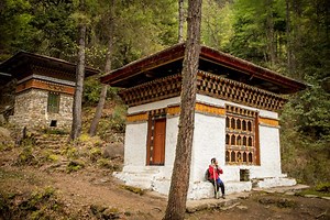 12 of the best sustainable trips