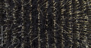 Overhead aerial, dead corn field in rural farmland
