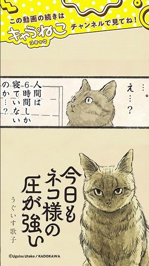 ネコ様（CV:杉田智和）に、にんげんは振り回されっぱなし！ボイスコミック『今日もネコ様の圧が強い』 #猫 #漫画 #杉田智和