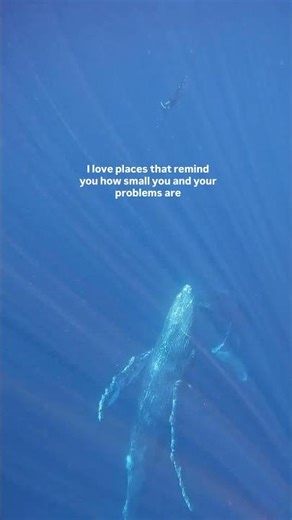 Amo los lugares que te recuerdan que tan pequeños son tú y tus problemas ✨