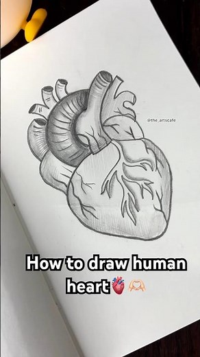 Tutorial: How to draw human heart🫀#Shorts #Trending
