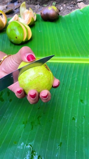 Guava Fruit #guavafruit