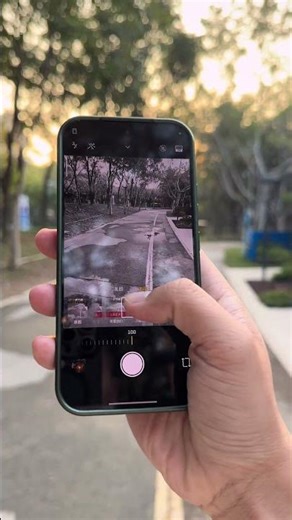 Xiaomi 17 Pro quick camera shot: This backlighting effect is really great! #photography #xiaomi17pro