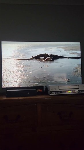 Walking With Dinosaurs Giant Of The Skies The Ornithocheirus Eulogy