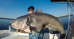 This Mind-Blowing 102-Pound Blue Catfish Truly is a Behemoth