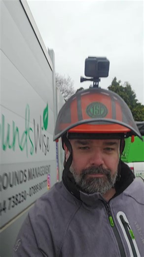 Efficient Oak Removal with Multitel Access Platform