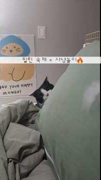 주7일 알바하는 개복치 공시생🐡 직렬 변경 어게인 #study