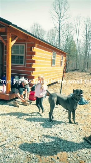 A cabin, generator, propane, kids, wife & dogs. What more could a man want. Grateful as can be.