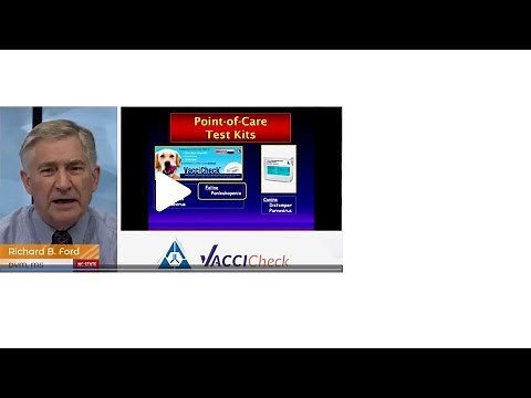 Antibody Testing in Clinical Practice for Core Vaccines