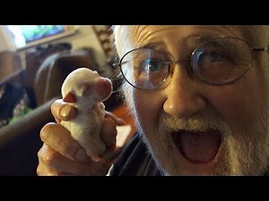 GRANDPA'S GOT PUPPIES!!