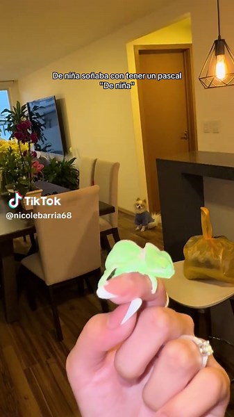 El encanto de tener un pascal desde niña