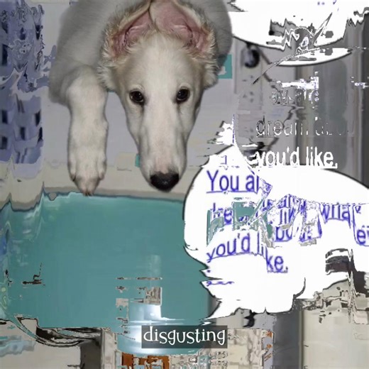 Understanding Borzois: Characteristics and Care Tips