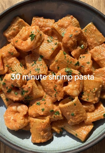 chipotle shrimp pasta recipe 🌶️🫑🦐 this dish is packed with veggies, heat, and is the perfect weekday dinner! makes 2 servings ingredients: 1 red bell pepper 1 jalapeño 1/2 onion diced 2-3 cloves garlic 1 cup tomato sauce 1 @Toluca Foods dried chipotle pepper soaked in hot water 1 tbsp cajun seasoning 1/2 cup heavy cream 6 oz pasta 1 lb peeled shrimp salt to taste 1. Bring hot water to a boil and cook your pasta until al dente. 2. In a pan, cook peeled shrimp with a splash of lemon juice and s