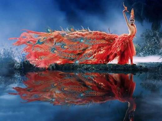 杨丽萍舞出中国极致浪漫，舞蹈《凤鸣朝阳》对传统文化深情致敬