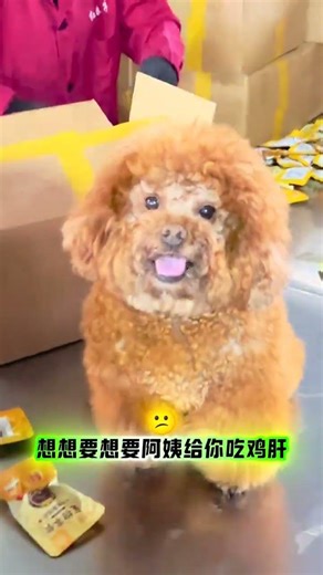 Boss' Special: Chicken Liver Delight - Steam or Boil