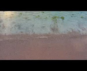 Beach Waves