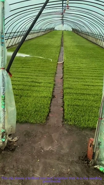 Low-Tech Greenhouse Hack: Water-Powered Sprayer Rotates Automatically