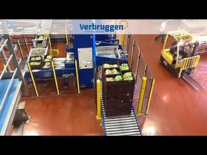 Palletizing | Automatic palletizer machine VPM-BL | Verbruggen Box/Crate palletizer | Food products