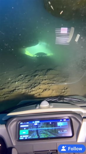 MYSTERY OF THE DEEP OCEAN 114#sea #monster #deepsea #mystery #undersea