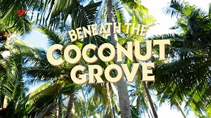 What's on Vietnam Today? Get ready to crack, sip, and savour your way through the coco-licious coconut paradise of Tam Quan, where we go loco for the coco! Discover more on Fine Cuisine on Vietnam Today. #VietnamToday #VTV #highlight #FineCuisine #cuisine #coconuts #tamquan | Vietnam Today