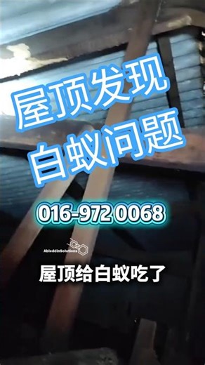 屋顶给白蚁吃了Ableddin Termite Pest Control jb johor bahru 016-972 0068 新山灭白蚁专家服务