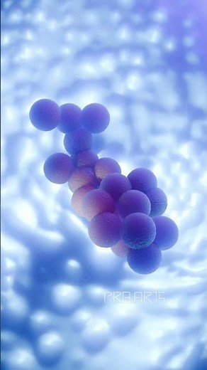 The Superbug: MRSA Bacteria Up Close 🦠🔬