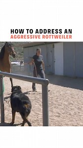 290K views · 6.2K reactions | In this clip of Cesar 911 Season 2, I...