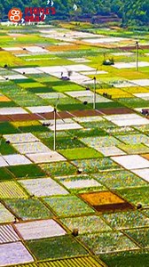 16K views · 158 reactions | Lichun, or the Beginning of #Spring, is...