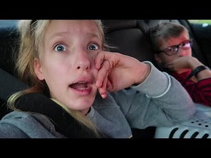 Our Kitten Goes to Cat Hotel for the First Time!!!!