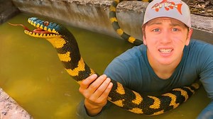 Bass Fishing Productions S01:E03 - I Found a Pond INFESTED With Deadly Snakes!