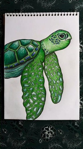 Tortoise Drawing 🐢 #tutorial #shorts #tortoise #painting #youtubeshorts
