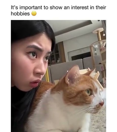 Share interest with your cat #cats #funnyvideo