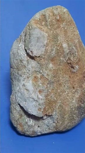 Closed geode or fossil in matrix. #reels #images #music #geology #youtubeshorts #minerals #fossil