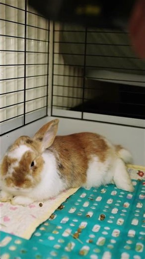 Φορητο Εργαλειο Μοντελοποιησης Για Μηχανικους