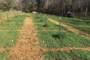 How to Develop the Best Fall Food Program for Your Deer - North American Whitetail