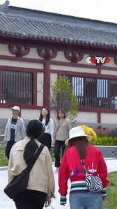 Henan Museum Enchants Visitors with Immersive Tour of Ancient Tombs #China #Museum #ImmersiveExperience | CCTV