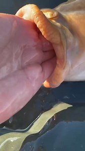 And no! We're not going fishing idc!!!! #comedy | Alice Ardelean