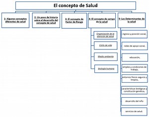 La Salud Como Derecho Social - El concepto de Salud