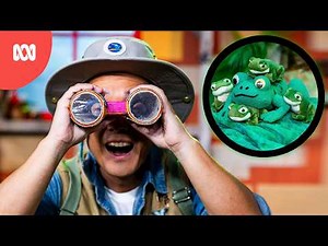 Rainforest Animal Adventure | Play School