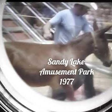 Sandy Lake Amusement Park has Diving Donkeys In Carrollton Texas