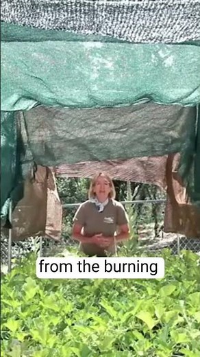 Protect Your Plants from Sunburn with Shade Fabric!